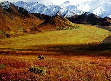 nebraska/nebraska-national-forest/attraction/the-durham-museum