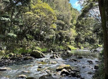 new-zealand/whangarei/attraction/deveron-reserve