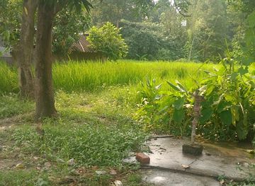 nepal/seti-zone/attraction/mahendranagar