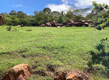 rwanda/nyabarongo-river/attraction/agaseke-center-kigali-cultural-village