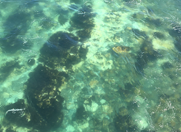 bosnia-and-herzegovina/bosnian-podrinje-canton/attraction/gradska-plaza