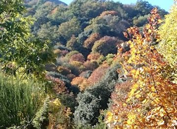 spain/montseny-natural-park/attraction/coll-de-sant-marcal