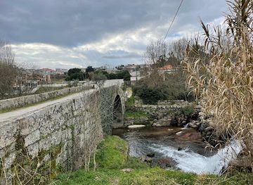 portugal/viseu/attraction/ponte-romana