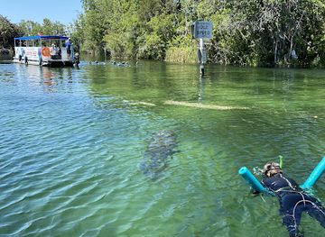 florida/crystal-river/attraction/nature-s-discovery-manatee-swim-tours