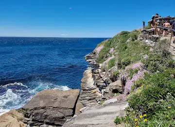 Bondi to Bronte Coastal Walk