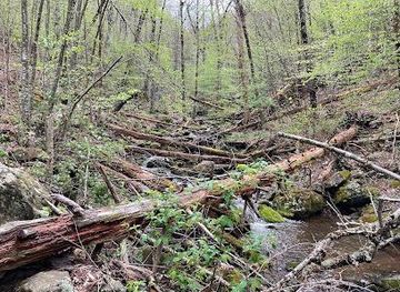 virginia/harrisonburg/attraction/rose-river-lp-trl