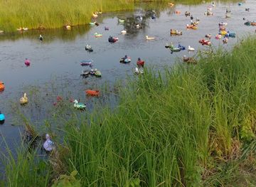 minnesota/arrowhead-region/attraction/solana-state-forest