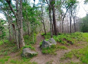 massachusetts/barnstable/attraction/west-barnstable-conservation-area