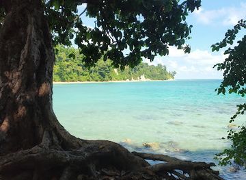 india/andaman-islands/attraction/talking-tree