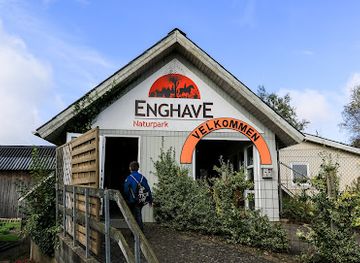 denmark/sonderjylland/attraction/enghave-dyre-og-naturpark