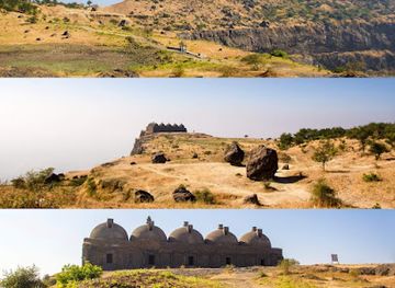 india/western-india/attraction/champaner-pavagadh-archaeological-park