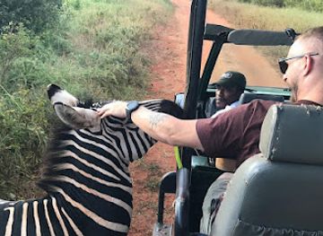 tanzania/arusha/attraction/mapaka-safaris