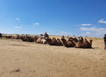 Elsen Tasarkhai (Sand Dune Mini Gobi)