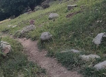 uzbekistan/kashkadarya-region/attraction/uzun-tut