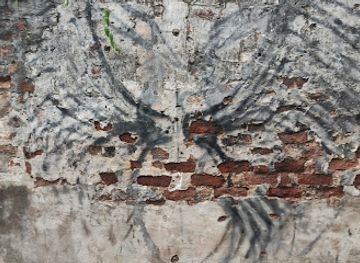 sri-lanka/kandy/attraction/g-s-s-art-space