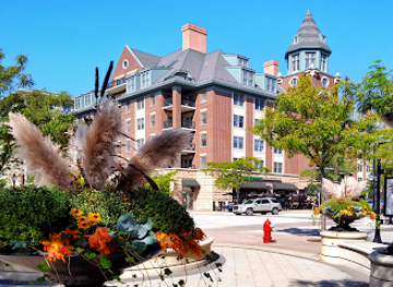 illinois/arlington-heights/attraction/harmony-park