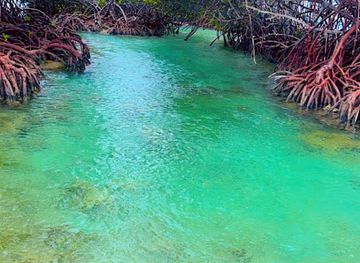 puerto-rico/la-parguera/attraction/hook-d-on-adventure-parguera