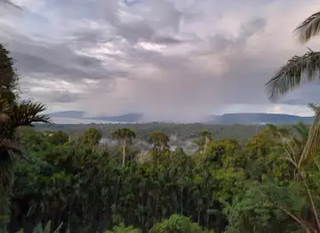 Ferafolia Community