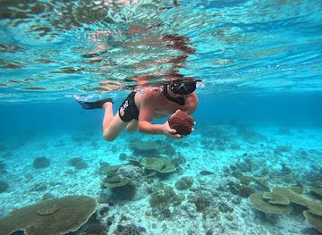 maldives/vaavu-atoll/attraction/house-reef-for-snorkeling