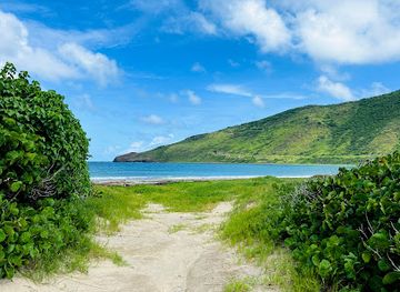 saint-kitts-and-nevis/frigate-bay/attraction/gong-beach