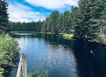 canada/northern-ontario/attraction/algonquin-logging-museum