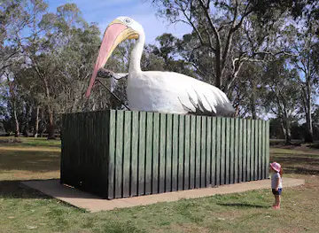 The Big Pelican