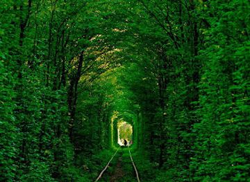 ukraine/pryazovia/attraction/tunnel-of-love