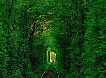Tunnel of Love