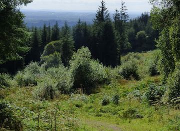 ireland/county-limerick/attraction/glenstal-woods