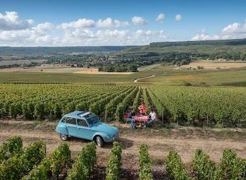 france/reims/attraction/champagne-meteyer-pere-et-fils