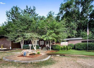 mississippi/northeast-mississippi/attraction/mississippi-petrified-forest