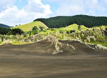 new-zealand/waikato/attraction/port-waikato-sand-dunes