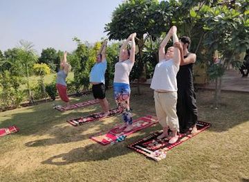 india/delhi/attraction/yoga-tours-by-india-office