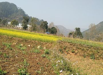 nepal/kathmandu-valley/attraction/ratna-park