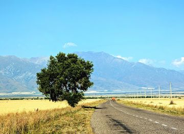 kazakhstan/altyn-emel-national-park/attraction/lonely-tree