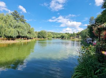 hungary/bakony/attraction/bakonyi-adventure-park