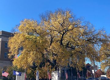 virginia/roanoke/attraction/freedom-plaza