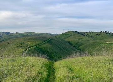 california/glendale/attraction/cheeseboro-canyon-trail