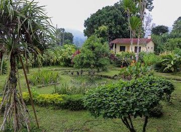 sao-tome-and-principe/santa-catarina/attraction/jardim-botanico-do-bom-sucesso