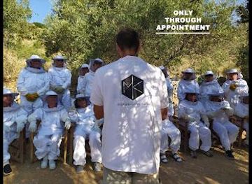 greece/delphi/attraction/moka-honey-stories-tour