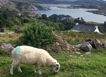 ireland/ring-of-kerry/attraction/derrynane-national-historic-park