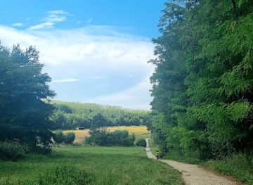 france/ile-de-france/attraction/regional-forest-of-ferrieres