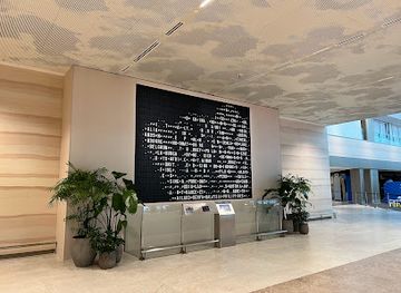 singapore/changi/attraction/flap-pix