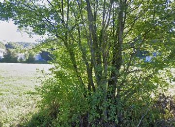 slovenia/zasavje/attraction/eko-park-zagorje