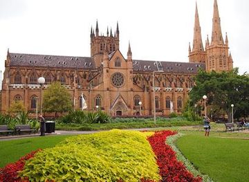 australia/sydney/attraction/shop-1-24-playfair-st