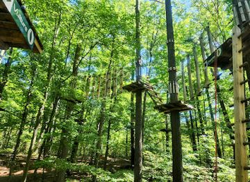 canada/kingston-and-the-islands/attraction/treetop-trekking-1000-islands