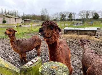 united-kingdom/middlesex/attraction/hounslow-urban-farm