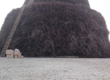 italy/salento/attraction/focara-di-novoli