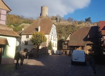 germany/moselle/attraction/european-archaeological-park-of-bliesbruck-reinheim