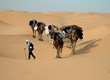 tunisia/tunisian-sahara/attraction/sahara-desert-tunisia